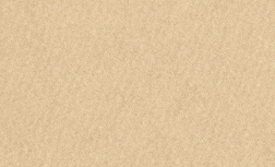 Non-woven Shopping Bag